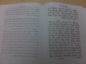 farsisiddur1