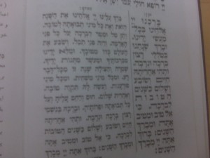 farsisiddur2